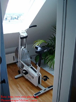 Foto: Schwinn Air-Dyne, Ganzk�rperergometer