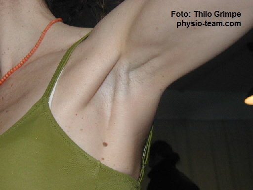 Foto: Thilo Grimpe      
physio-team.com