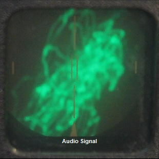 Audio Signal