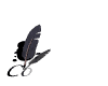 mailto: ML.Physiotherapie@t-online.de