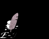 mailto: ML.Physiotherapie@t-online.de